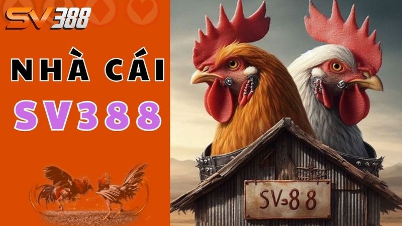 Tài khoản dùng thử SV388 - Trải nghiệm free, không giới hạn - SLOT68.MOBI