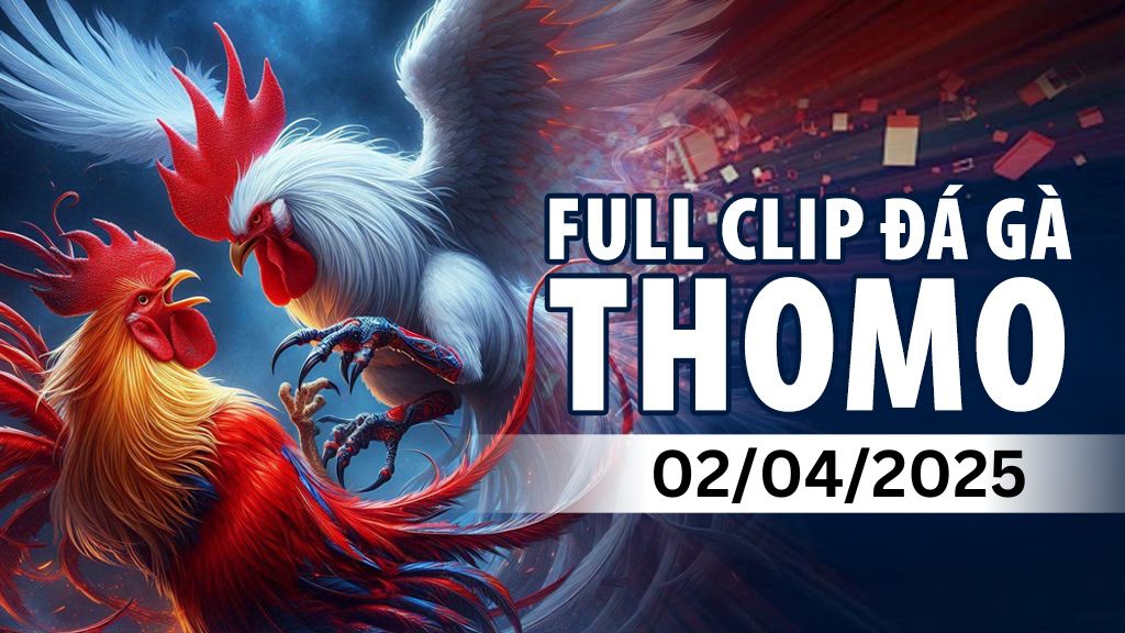 Video Full Clip đá gà bồ Thomo Campuchia 01/04/2026 - SV388 - SLOT68.MOBI